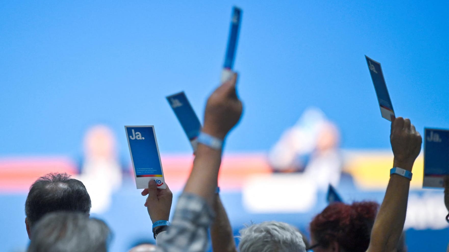 AfD-Delegierte bei der Abstimmung in Riesa: Die Satzungsänderung wurde mit 69,2 Prozent vom Parteitag angenommen.