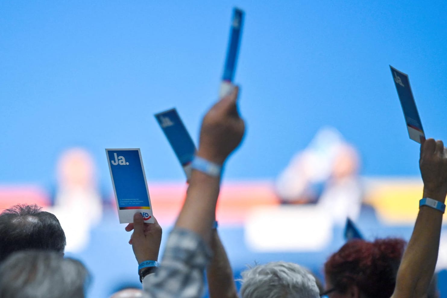 AfD-Delegierte bei der Abstimmung in Riesa: Die Satzungsänderung wurde mit 69,2 Prozent vom Parteitag angenommen.