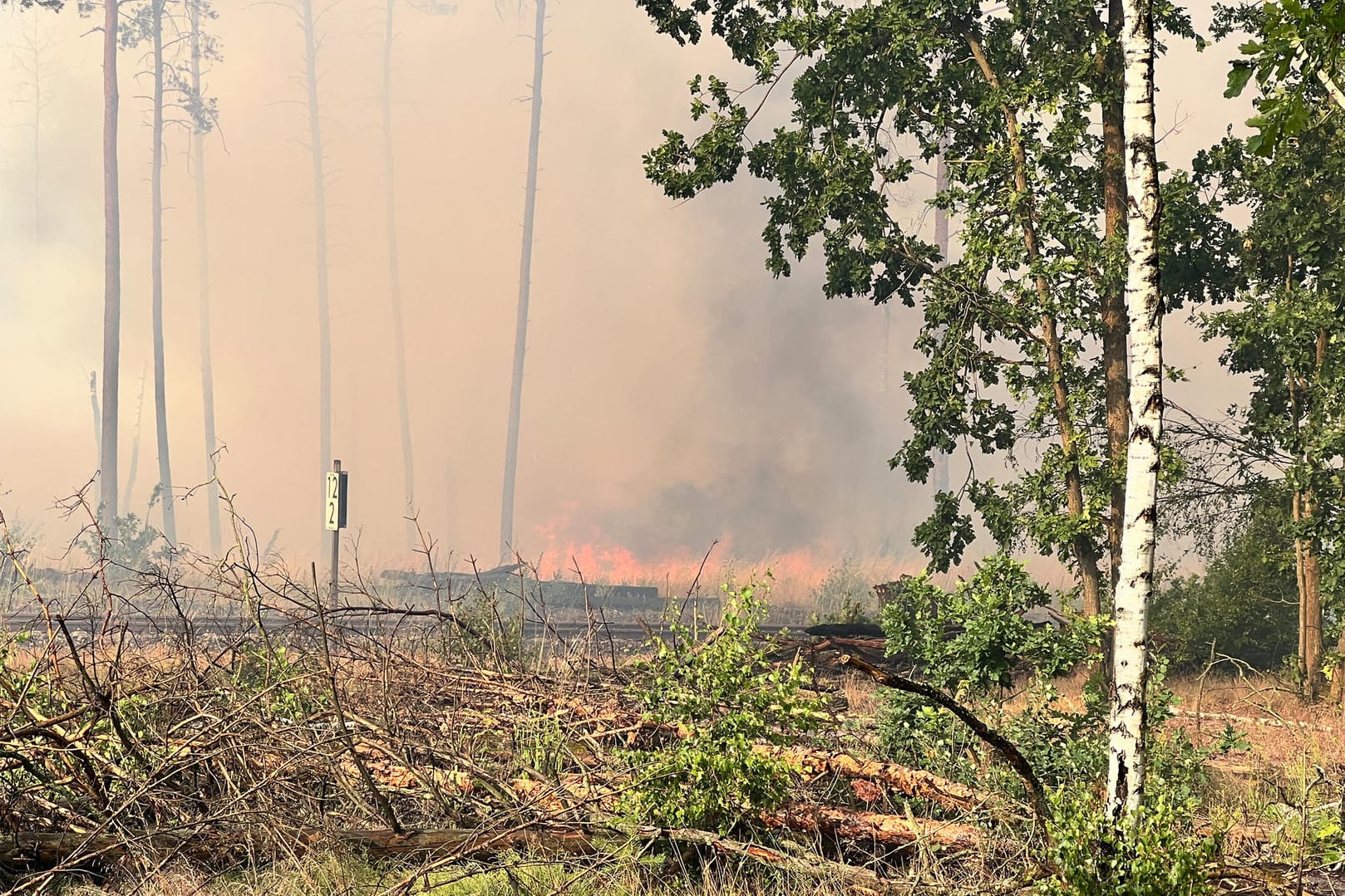 Waldbrand bei Treuenbrietzen: Menschen müssen nun fliehen.