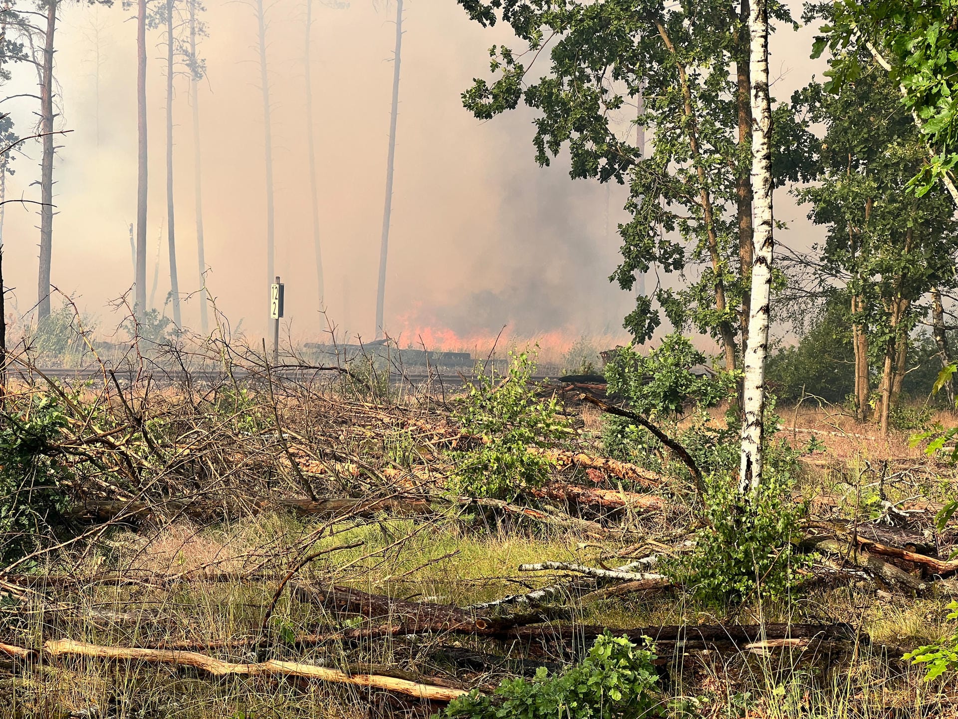 Waldbrand bei Treuenbrietzen: Menschen müssen nun fliehen.