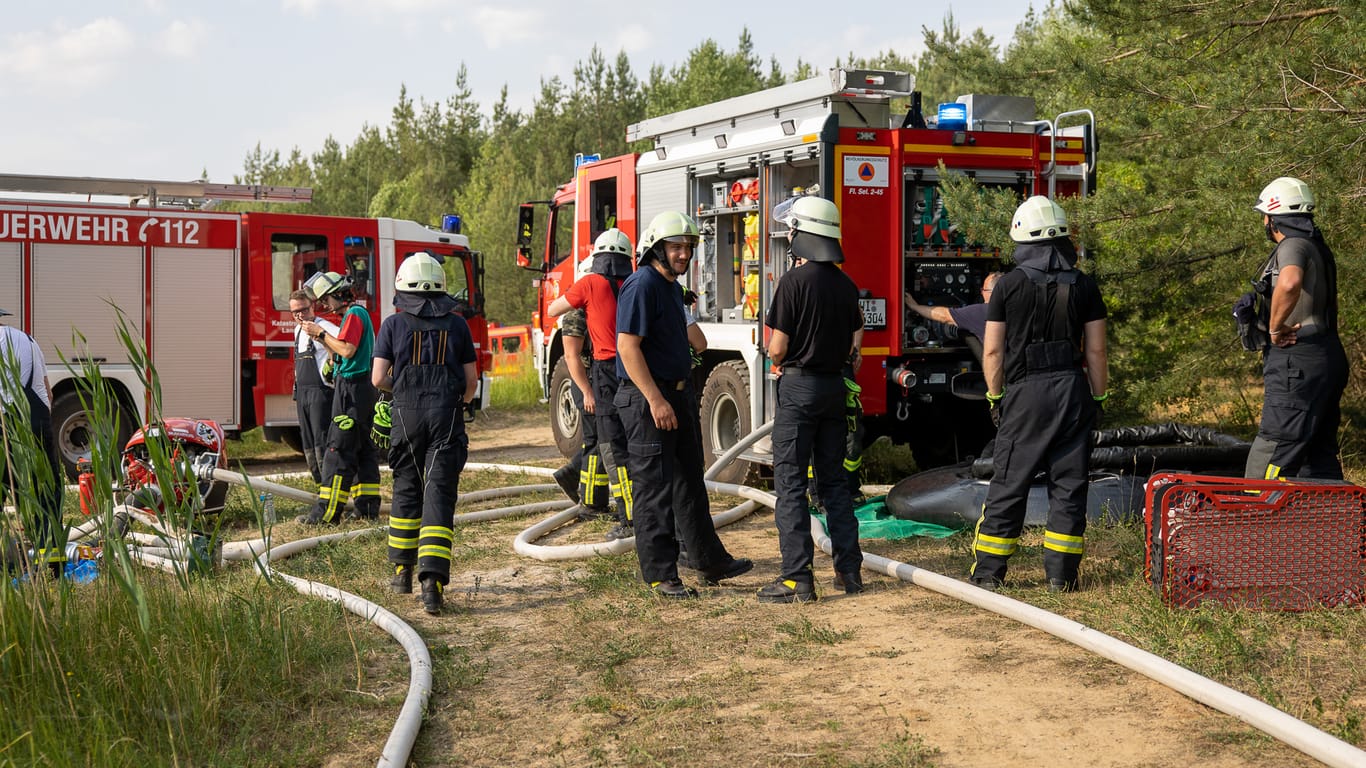 Einsatzkräfte der Feuerwehr in Hainburg: Eine Fläche von etwa 5.000 Quadratmetern stand am Sonntagnachmittag in Flammen.