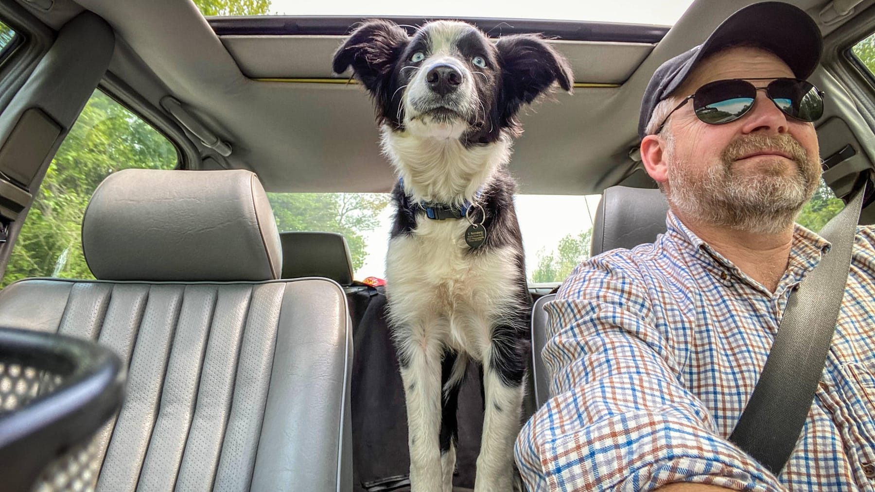 Hund im Auto unbedingt sichern: Der ADAC gibt Tipps