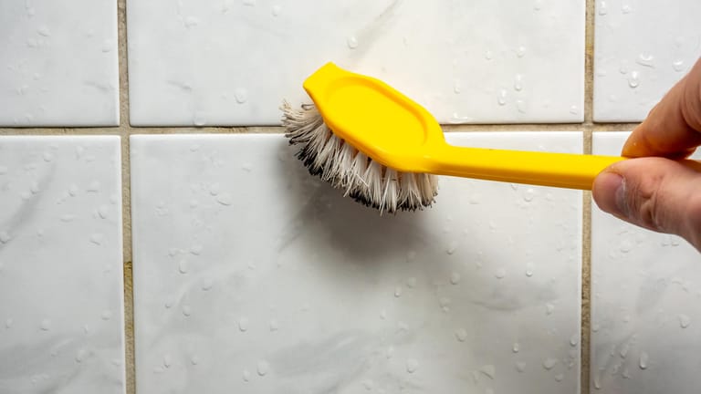 Putzen: Die harten Borsten der Abwaschbürste reiben die Schimmelsporen leicht ab.