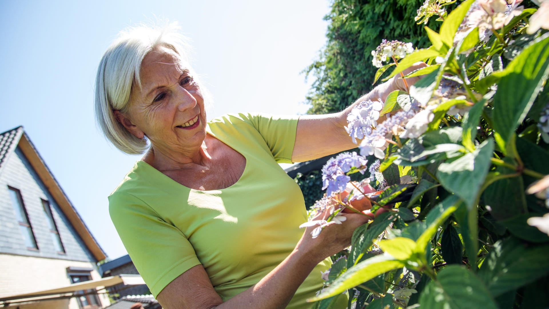 Sommersonnenwende: Ab dem 21. Juni werden die Tage wieder kürzer.