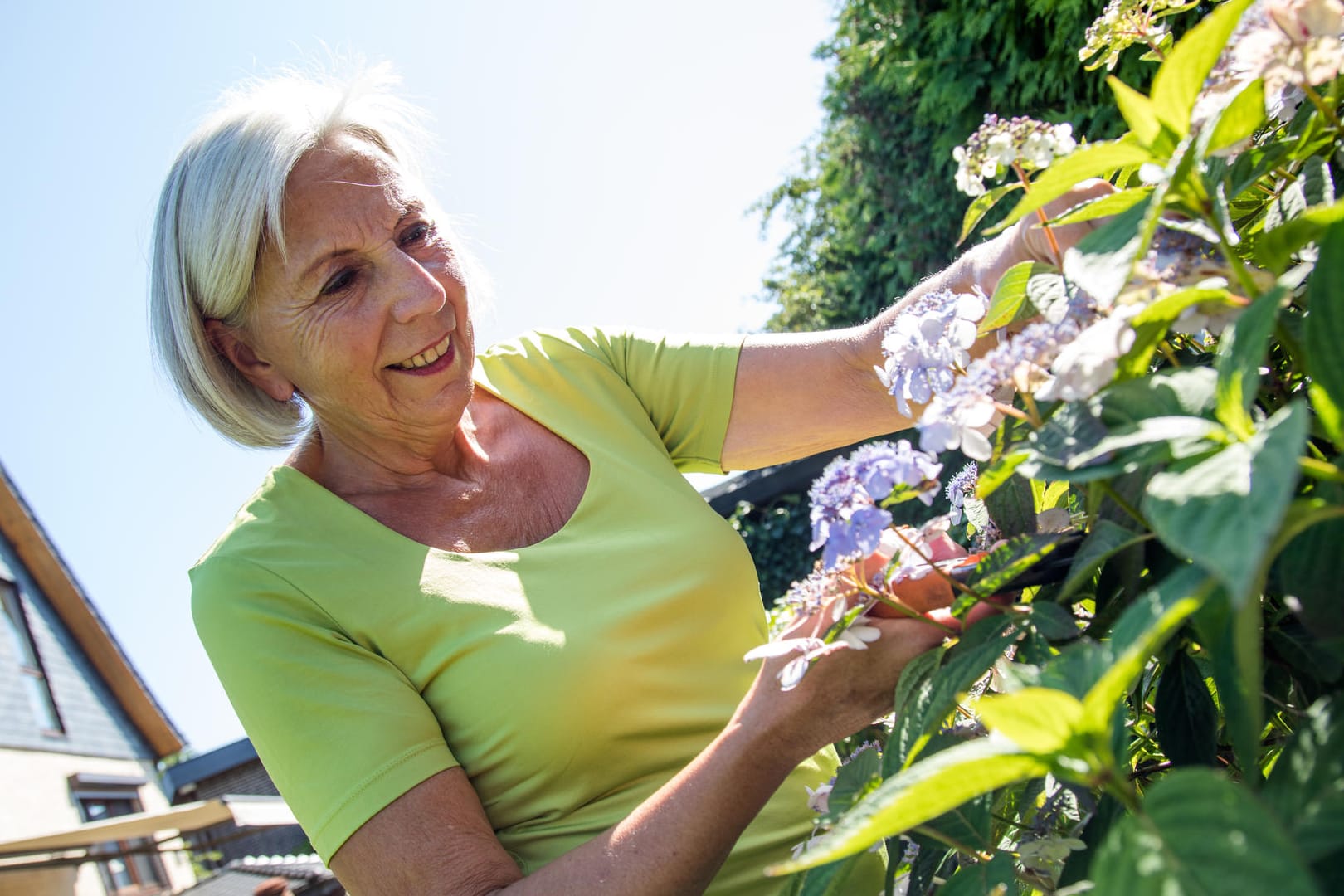 Sommersonnenwende: Ab dem 21. Juni werden die Tage wieder kürzer.