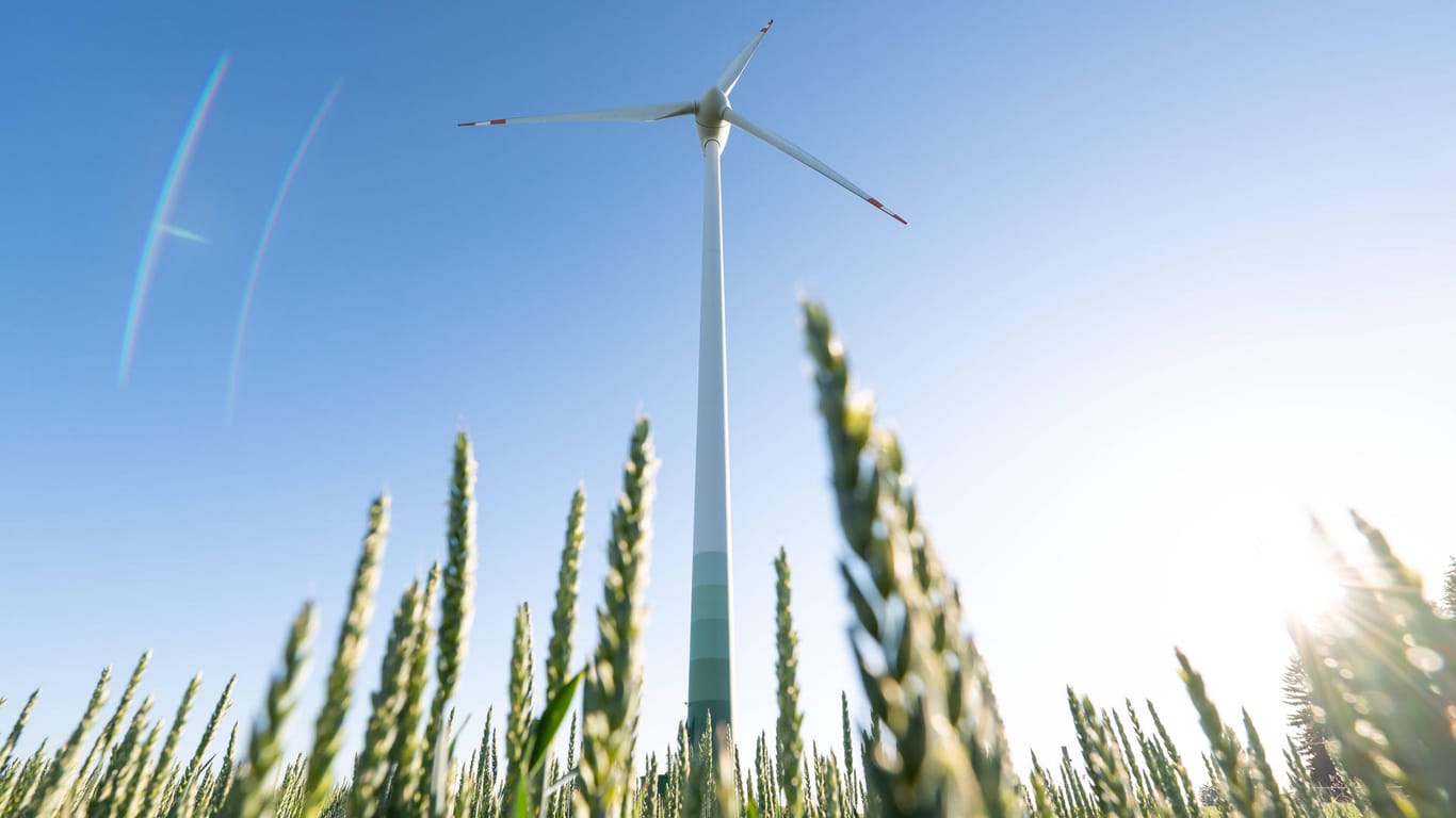 Windkraftanlage an einem Weizenfeld (Symbolbild): Die Nachhaltigkeitsberichte der Unternehmen sollen Auswirkungen auf die Umwelt, Menschenrechte und Sozialstandards enthalten.
