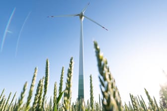 Windkraftanlage an einem Weizenfeld (Symbolbild): Die Nachhaltigkeitsberichte der Unternehmen sollen Auswirkungen auf die Umwelt, Menschenrechte und Sozialstandards enthalten.