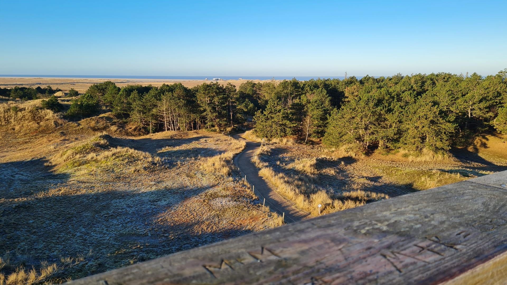 Strandparadies St. Peter-Ording: Eine oft übersehene Attraktion ist der bewaldete Küstendünengürtel.