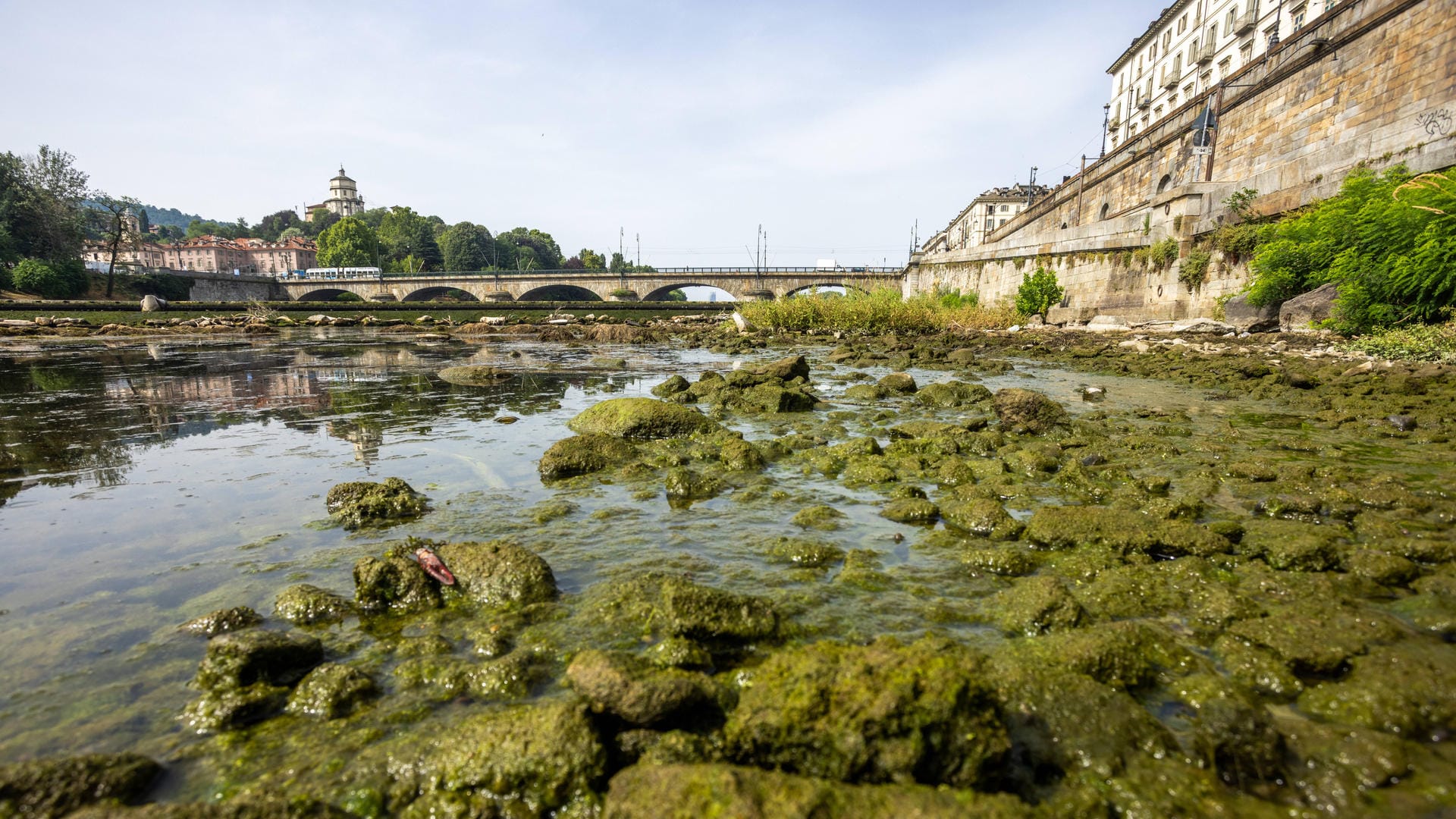 Fluss Po mit nur wenig Wasser: "Der Wasserdurchfluss hat sich innerhalb von zwei Wochen halbiert", sagt die italienische Bewässerungsbehörde.