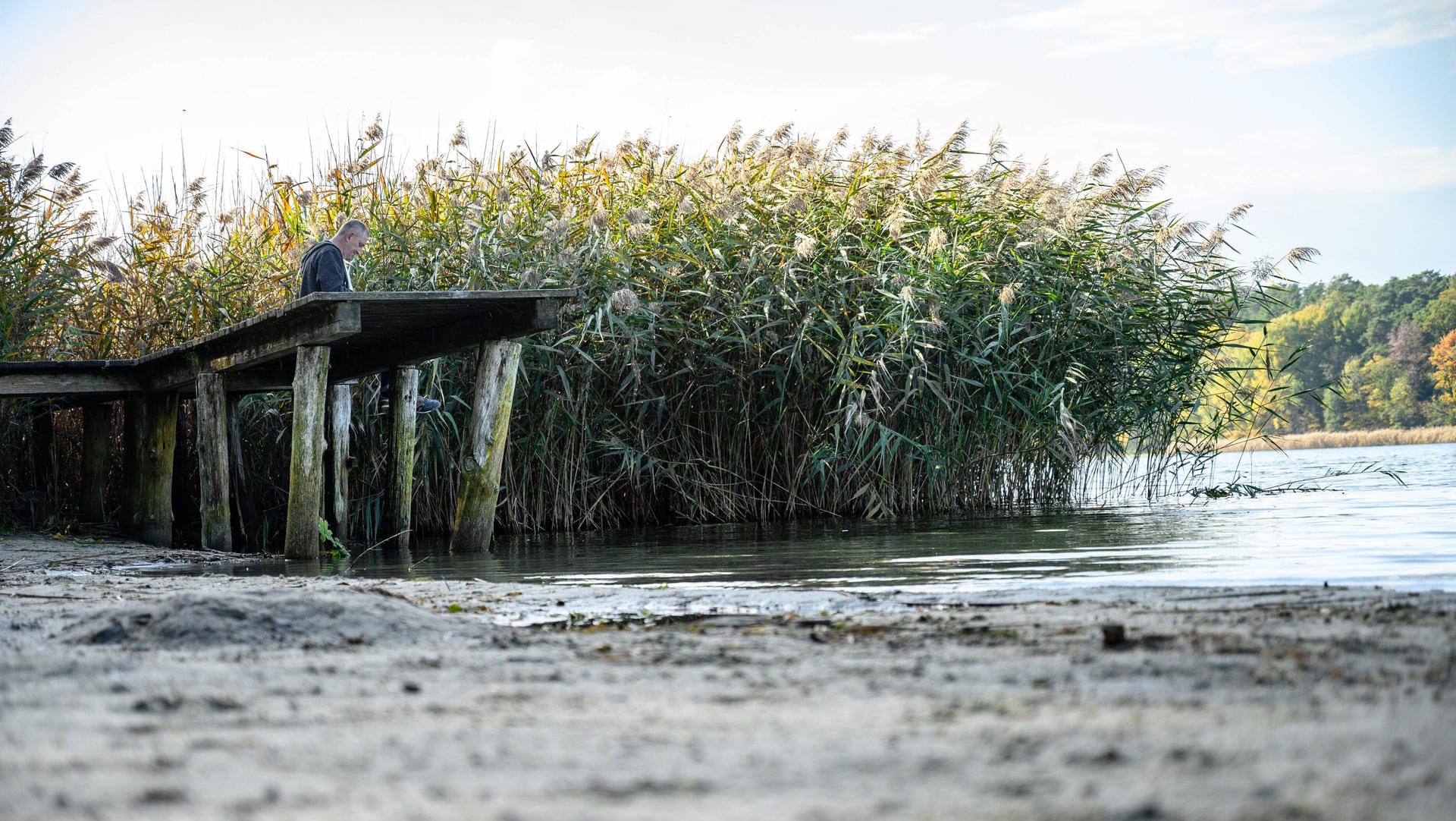 Der Straussee in Brandenburg (Archiv): Der Steg steht nicht im Wasser.