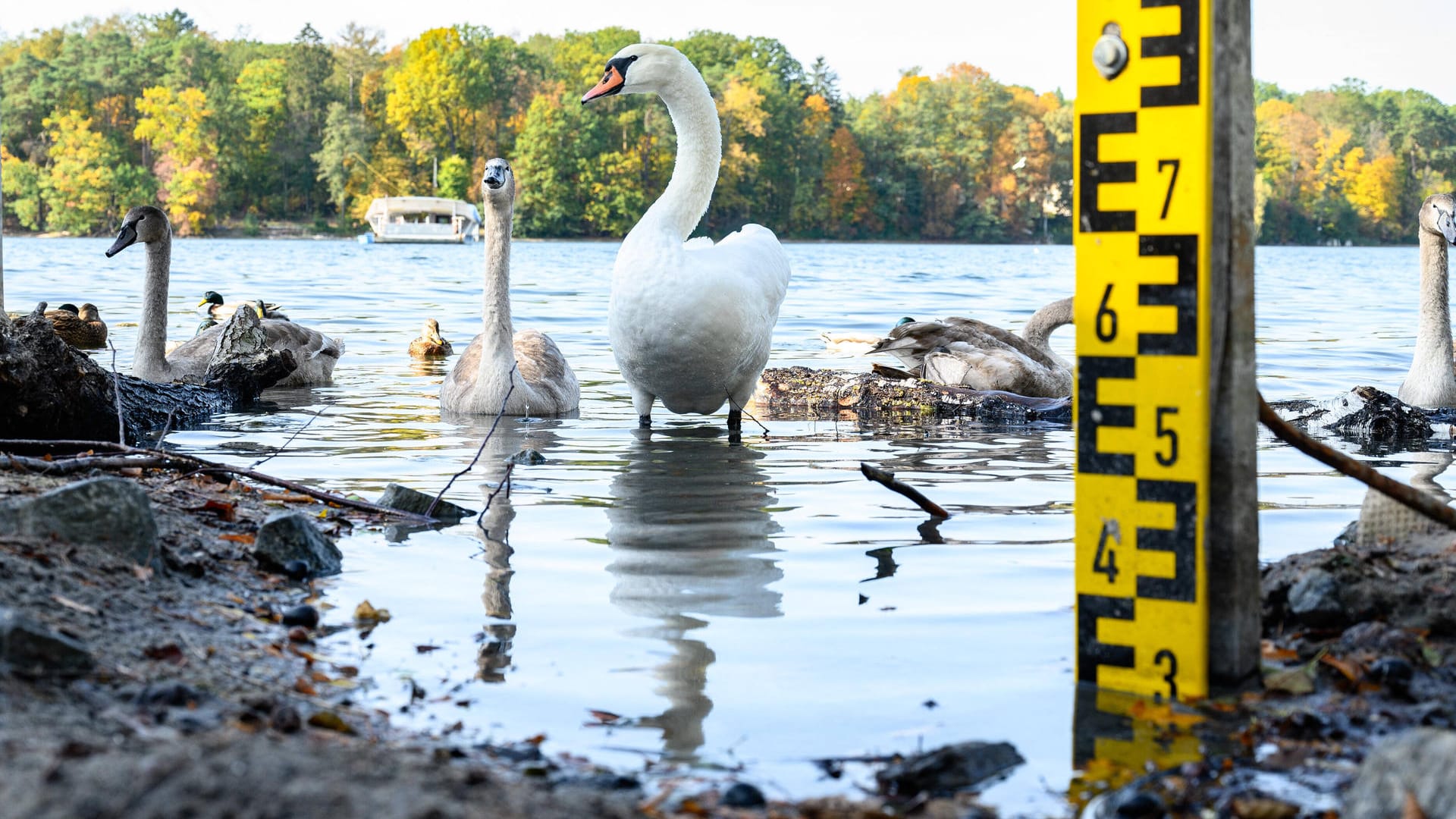 Der Straussee bei Strausberg verliert Wasser (Archiv): Auch in diesem Jahr bleibt das Strandbad geschlossen.