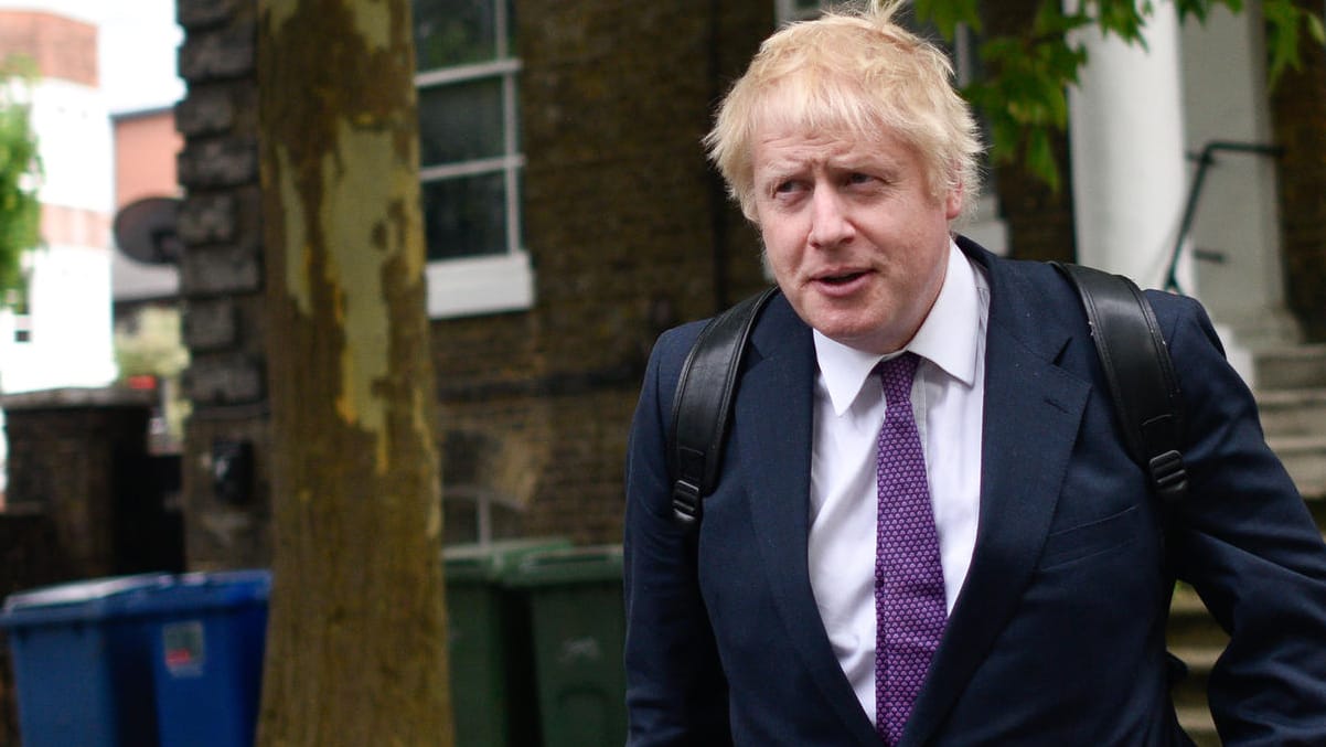 Boris Johnson: Der Premierminister wollte für seinen Sohn ein Baumhaus bauen lassen.