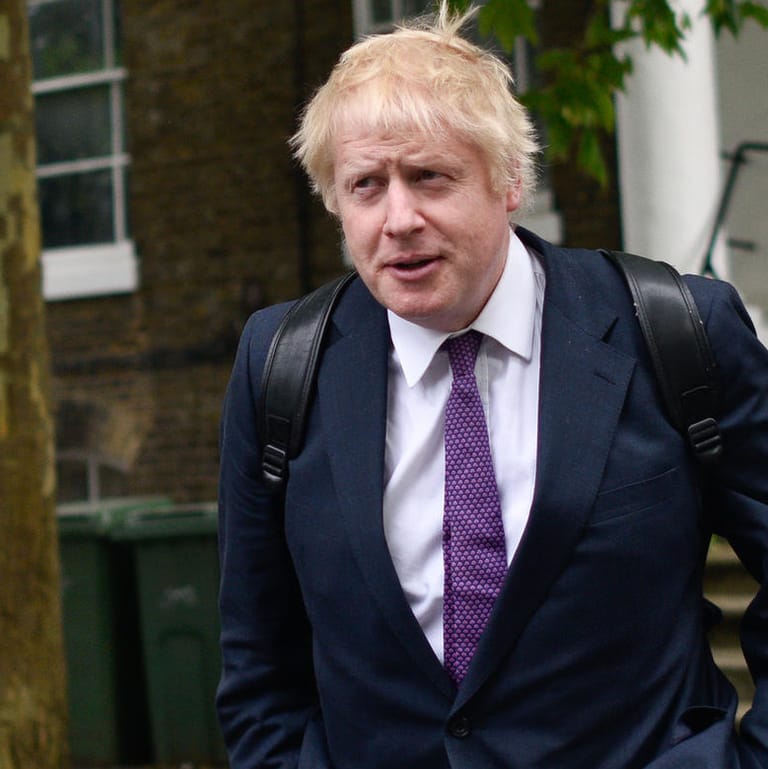 Boris Johnson: Der Premierminister wollte für seinen Sohn ein Baumhaus bauen lassen.