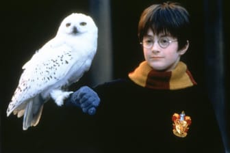 Mit zwölf Jahren flimmerte Daniel Radcliffe zum ersten Mal als Harry Potter über die Leinwände.