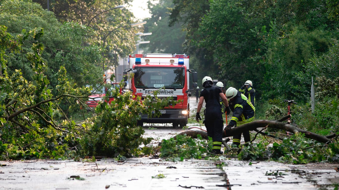 Köln: Einsatzkräfte der Feuwerwehr zersägen einen umgestürzten Baum.