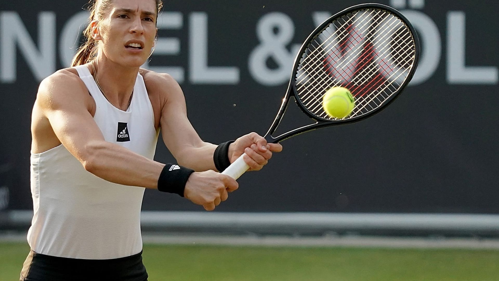 Andrea Petkovic