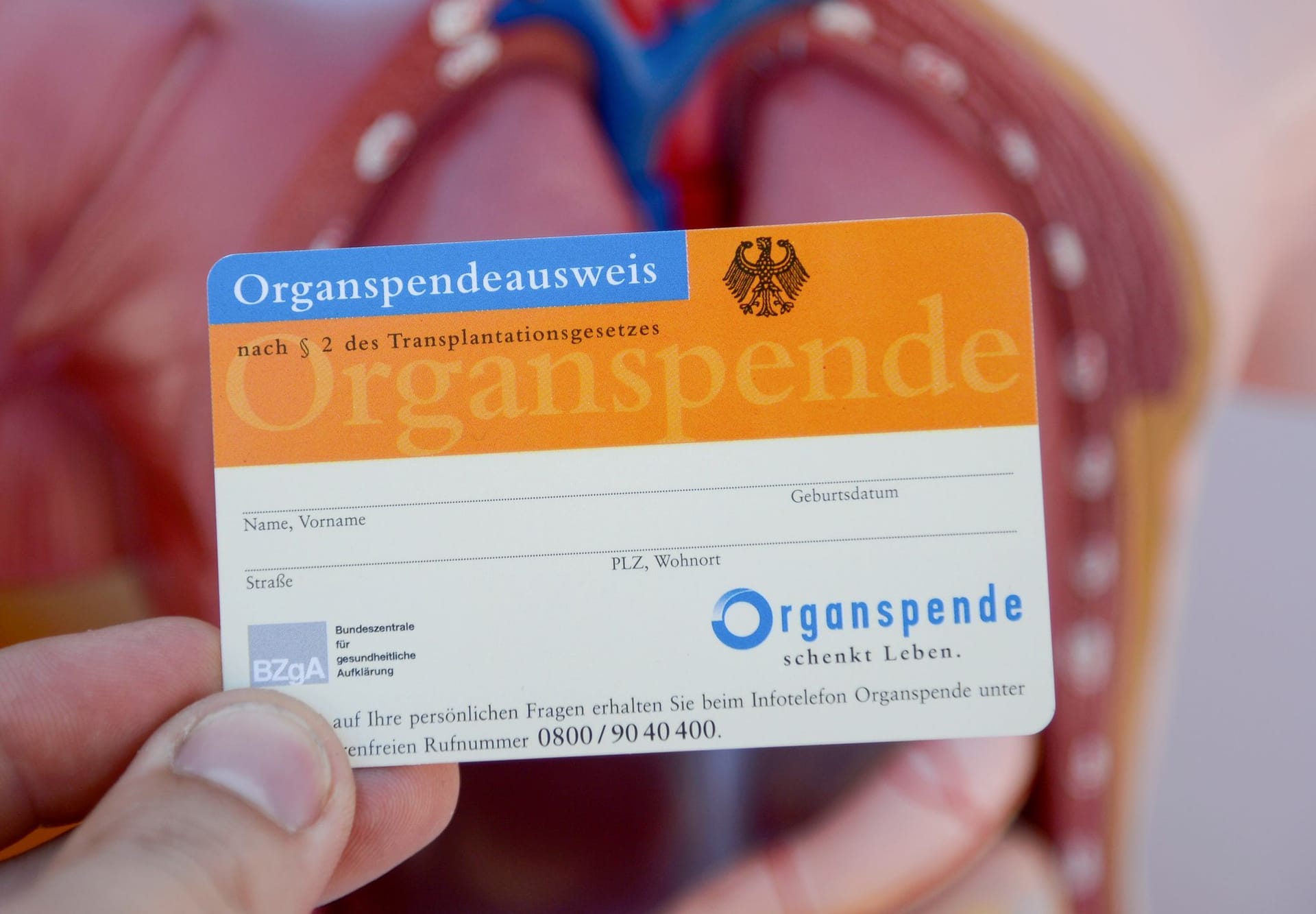 Organspende