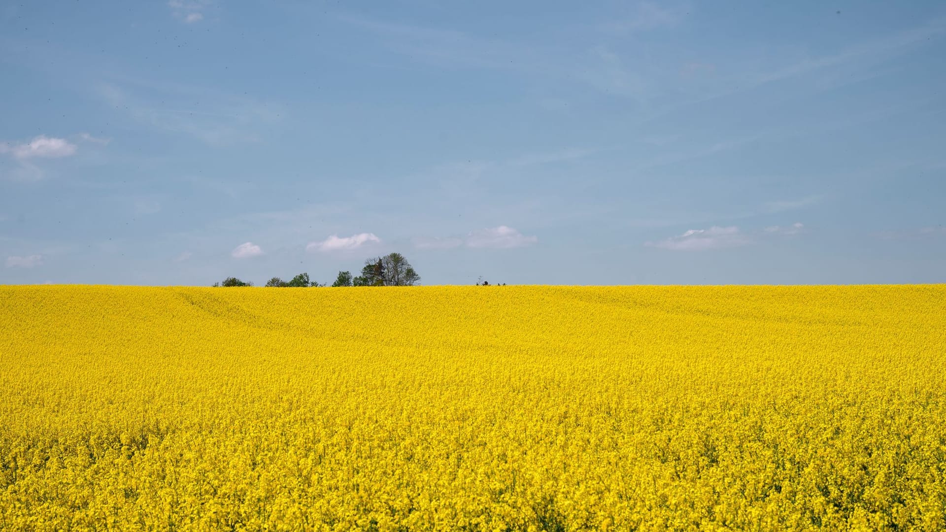 Wetter in Thüringen