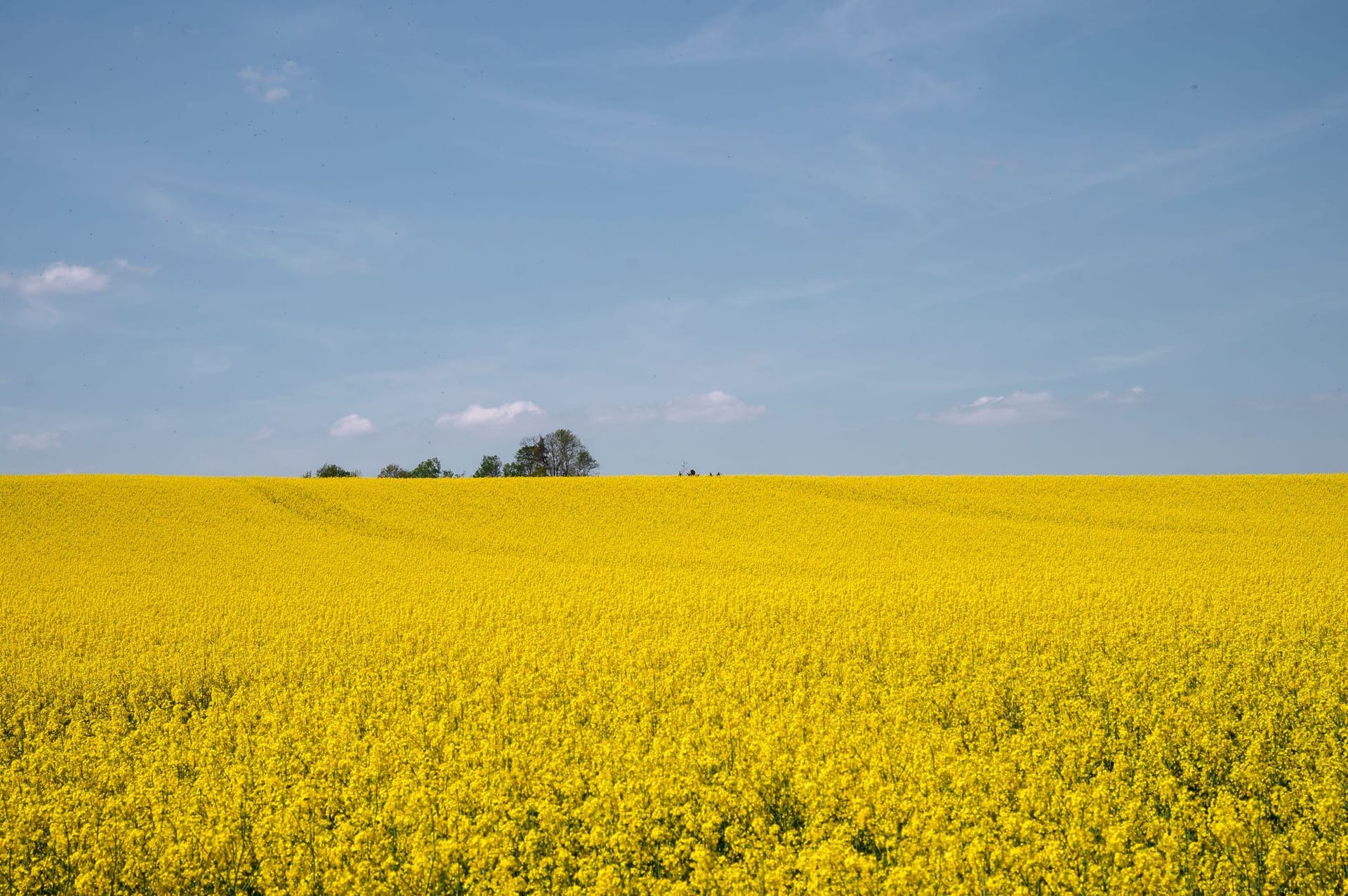 Wetter in Thüringen