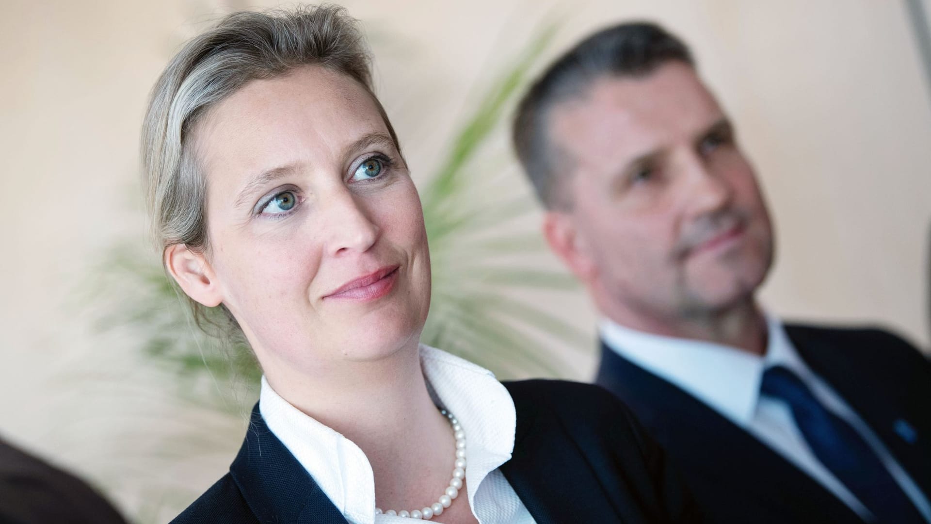 AfD-Politiker Hess AfD-Politiker Hess