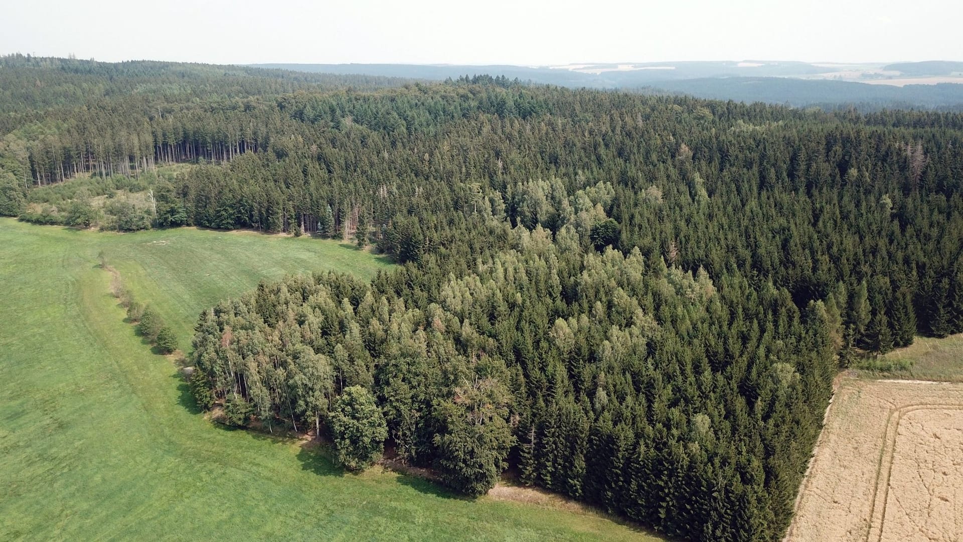 Sommer in Thüringen