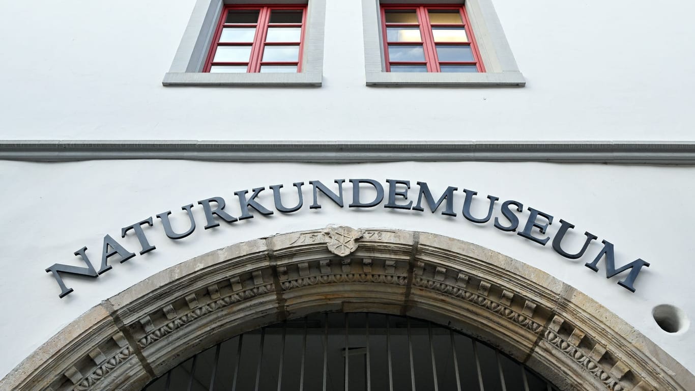 Naturkundemuseum Erfurt