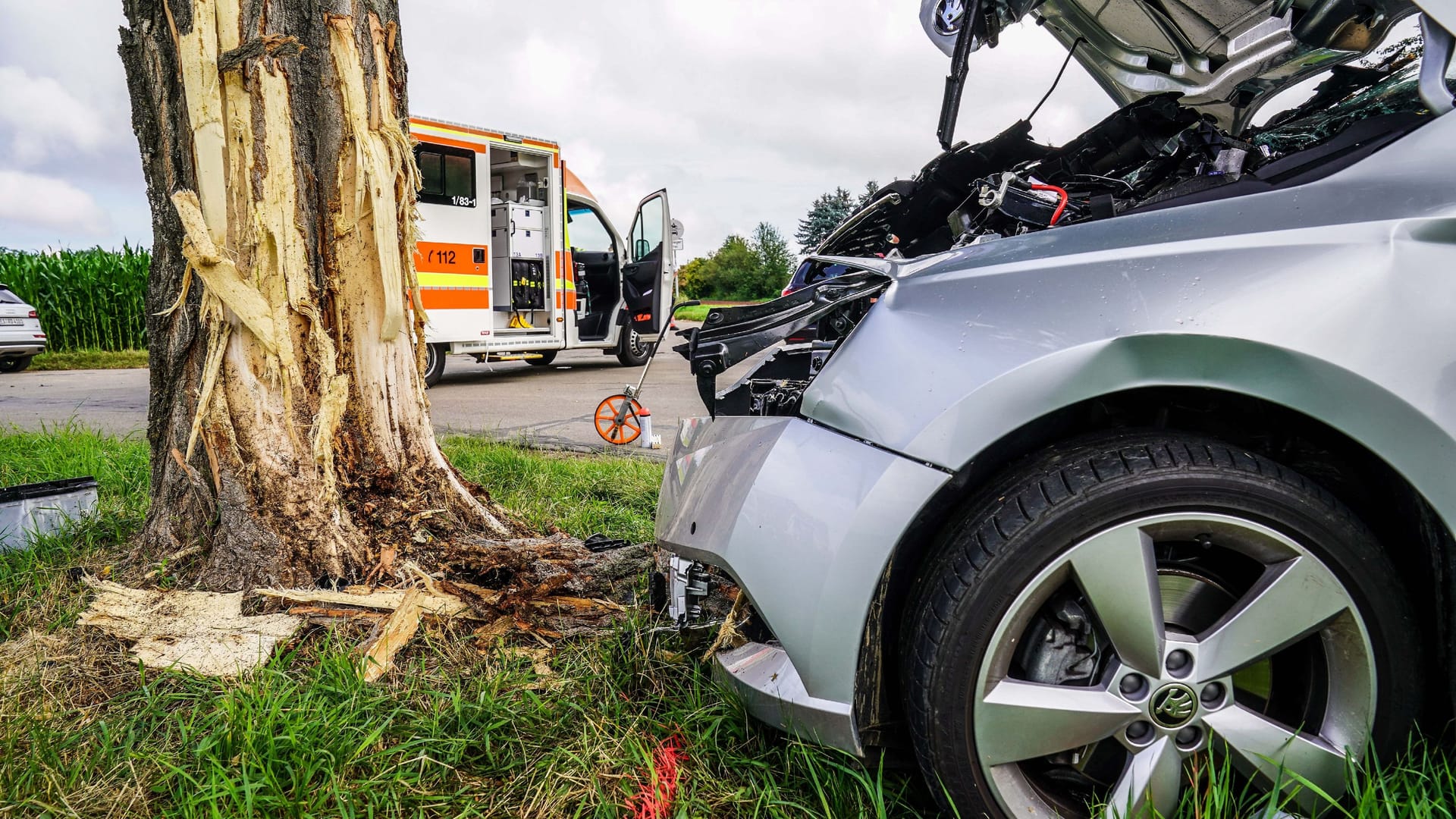 Der 79 Jahre alte Mann wurde am Dienstagvormittag bei einem Verkehrsunfall schwer verletzt. Ermittler vermuten, dass er den Unfall bewusst verursachte, nachdem er seine Ehefrau getötet hatte.