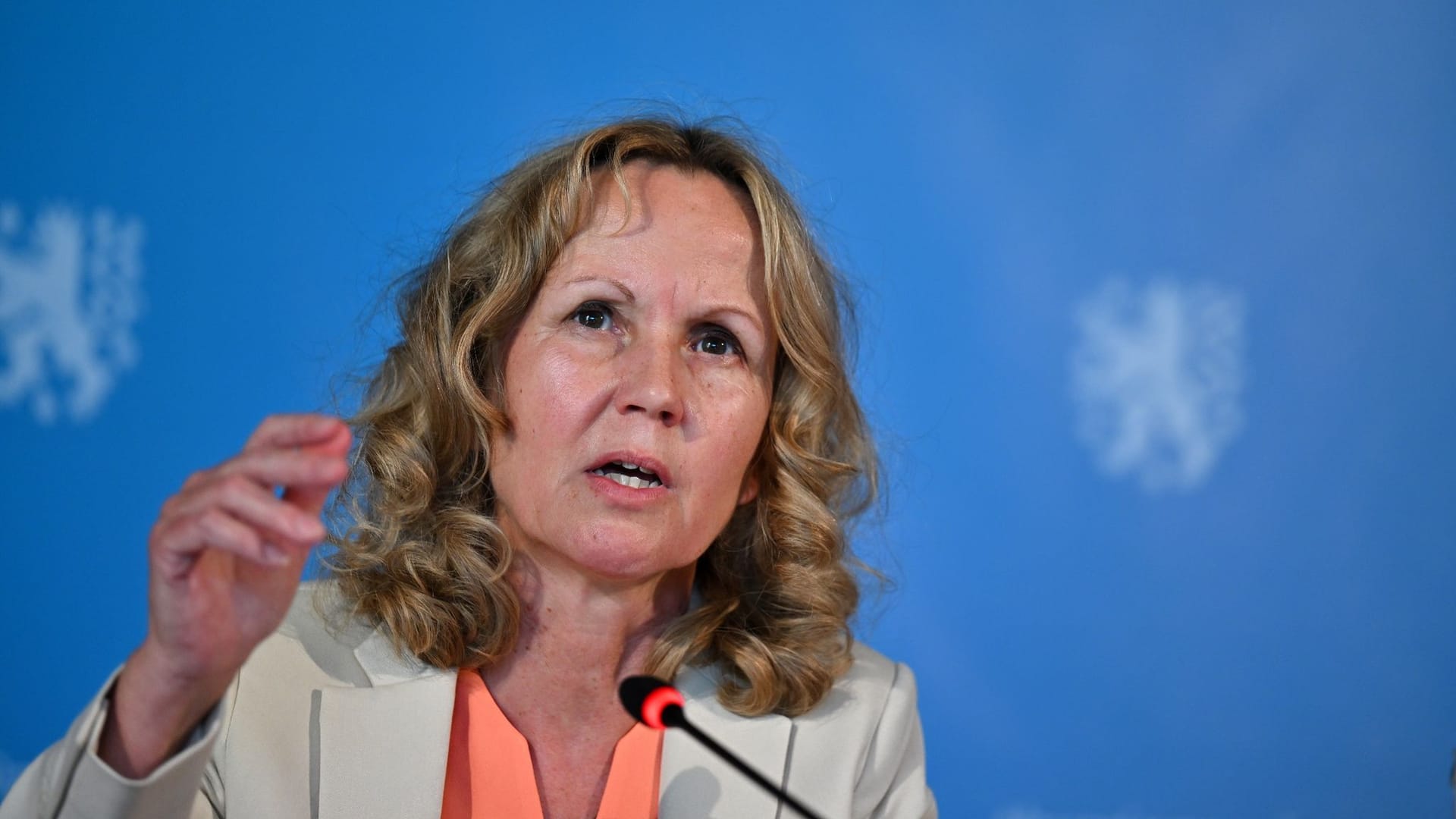 Steffi Lemke (Grüne)