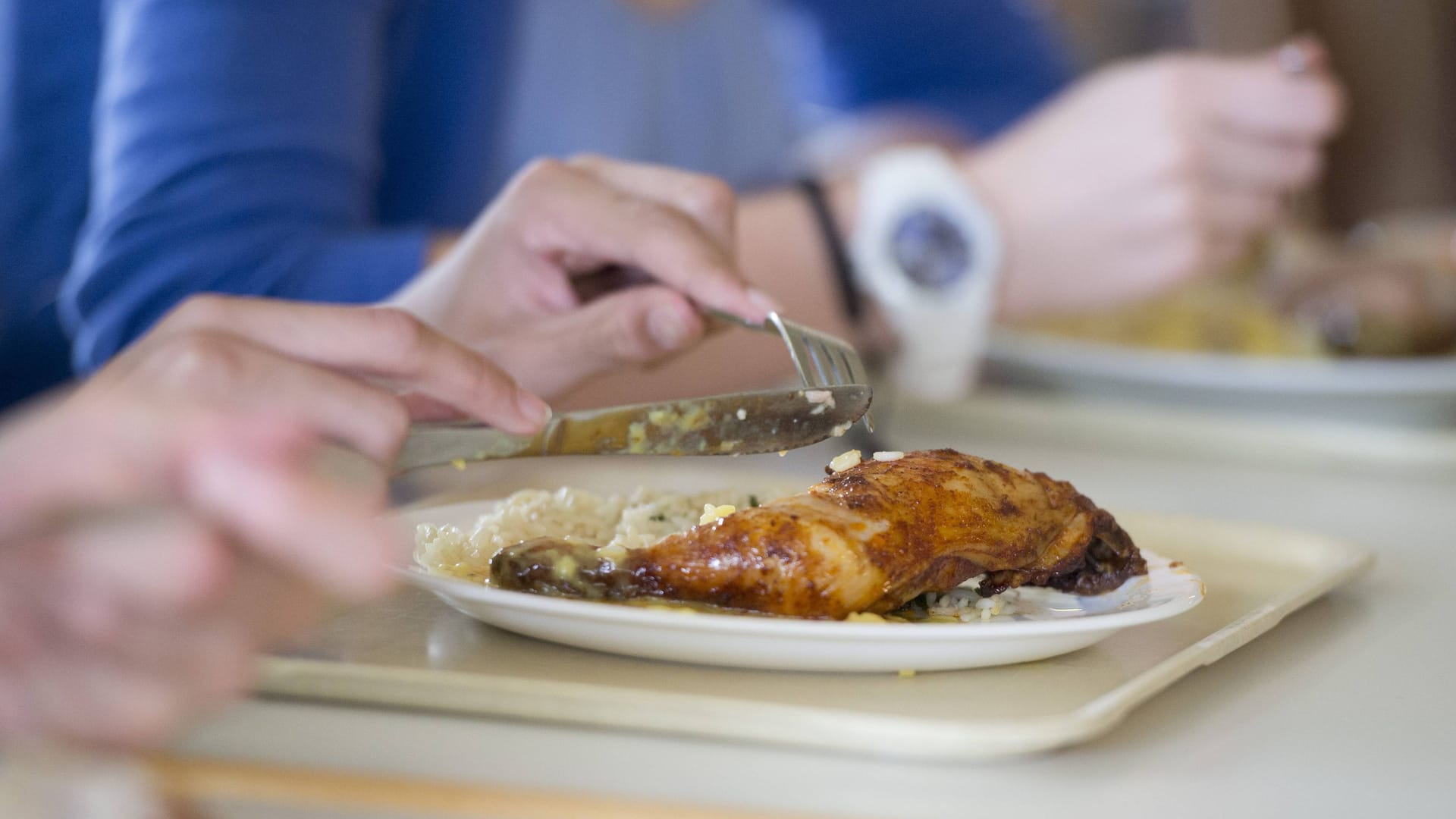 Schüler beim Essen in der Mensa (Symbolbild): An dem Projekt nehmen 3000 Schulen in zwölf europäischen Ländern teil. Schüler beim Essen in der Mensa (Symbolbild): An dem Projekt nehmen 3000 Schulen in zwölf europäischen Ländern teil.