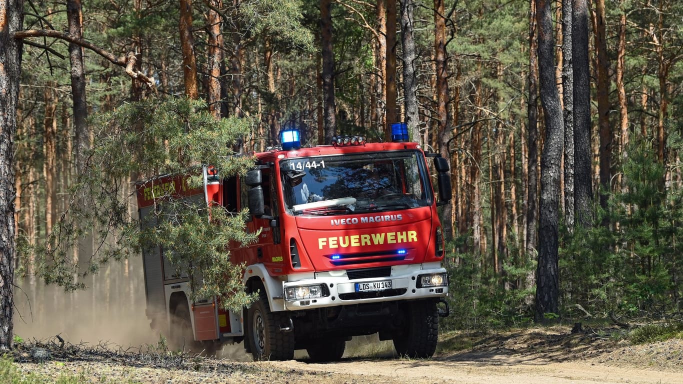 Am Donnerstag rückte die Polizei in Köditz an (Symbolbild): Offenbar löste ein nicht ordentlich gelöschtes Lagerfeuer den Waldbrand aus.