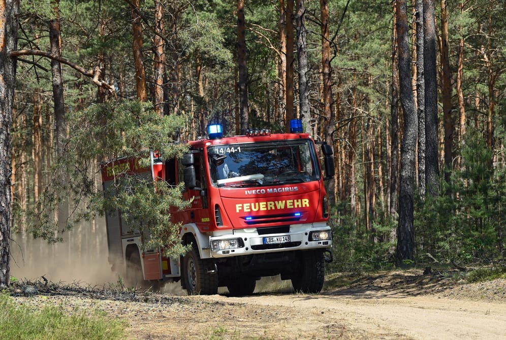 Am Donnerstag rückte die Polizei in Köditz an (Symbolbild): Offenbar löste ein nicht ordentlich gelöschtes Lagerfeuer den Waldbrand aus.