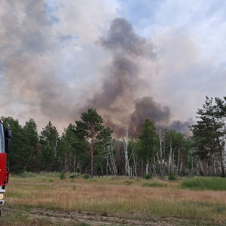 Feuerwehr in Jüterbog: Ein Brand habe sich innerhalb von zwei Stunden auf zehn Hektar ausgebreitet.