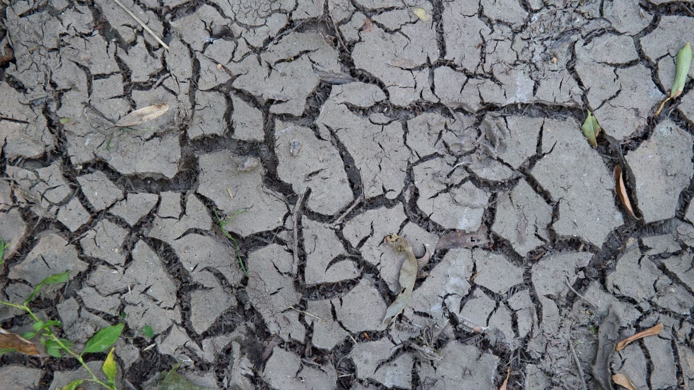 Trockenheit in Thüringen