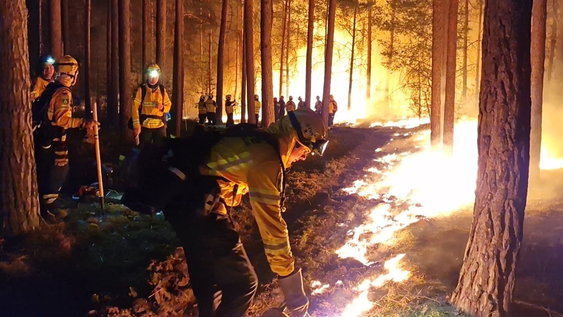 Waldbrand bei Beelitz