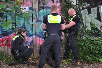 Pfingstmontag in Hamburg: Bei einem Streit zweier Großfamilien im Baschupark wurde ein Mann verletzt.