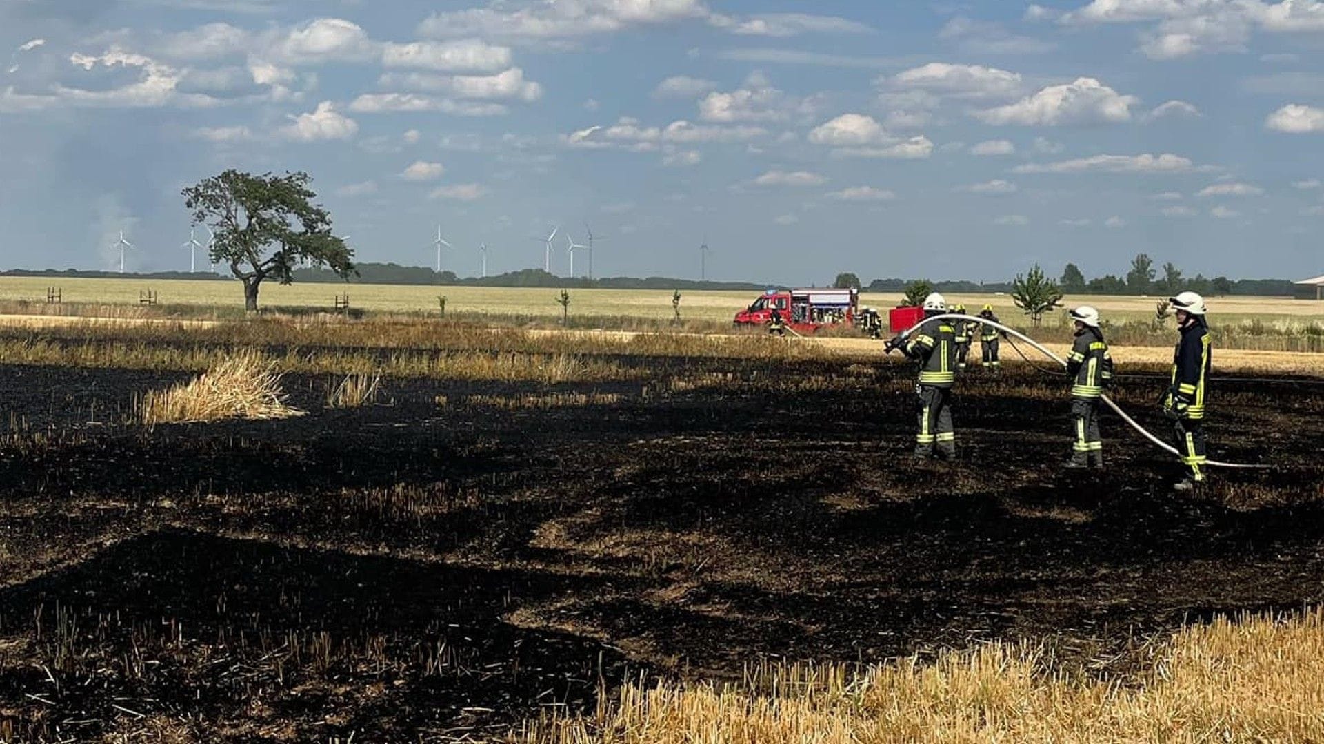 Feldbrand am Ortsrand von Salbitz: Die Feuerwehr postete dieses Foto am Montag bei Facebook.