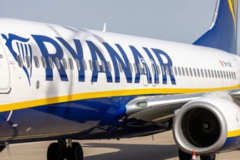 Ein Linienflugzeug der Fluggesellschaft Ryanair (Archivbild): Auf Ibiza legte sich ein Mann in das Gepäckfach.