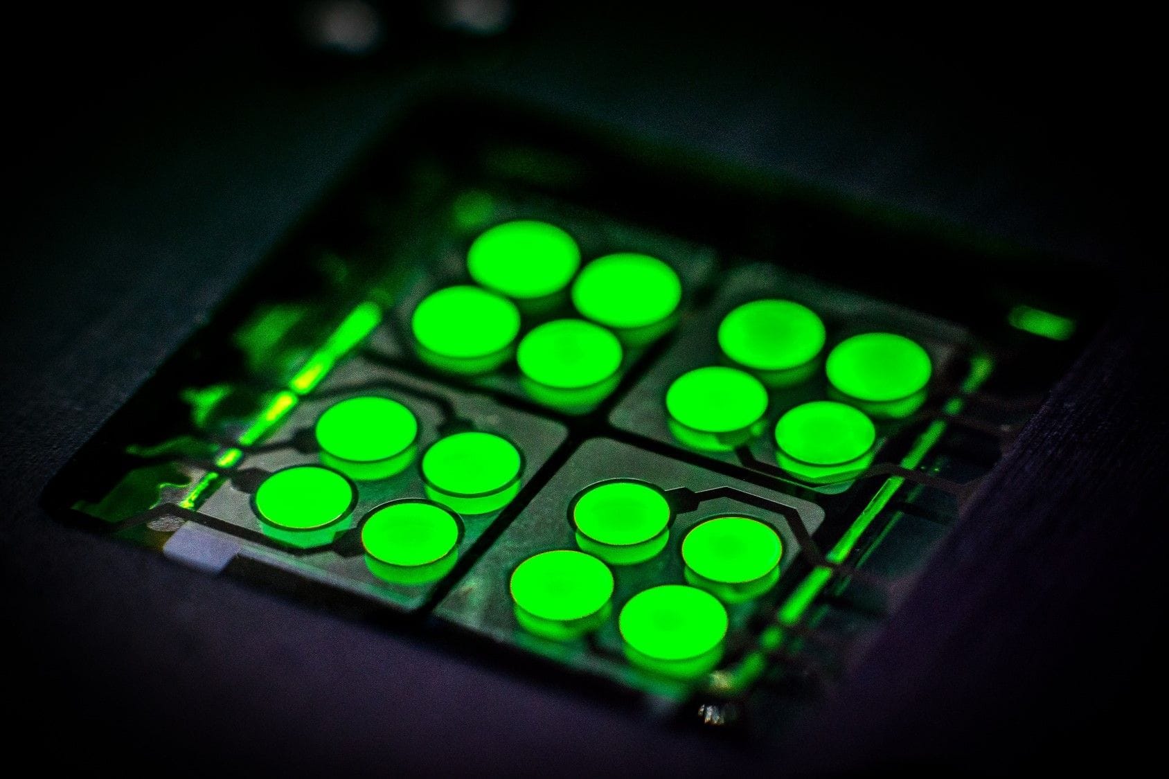 Ein Bauteil von Cynora: Mit neuen Materialen für OLED-Displays wollte das Unternehmen Bildschirme effizienter machen.