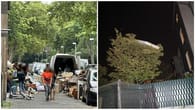 Problem-Immobilie in Gelsenkirchen: "Wir leben neben einem Horror-Haus"