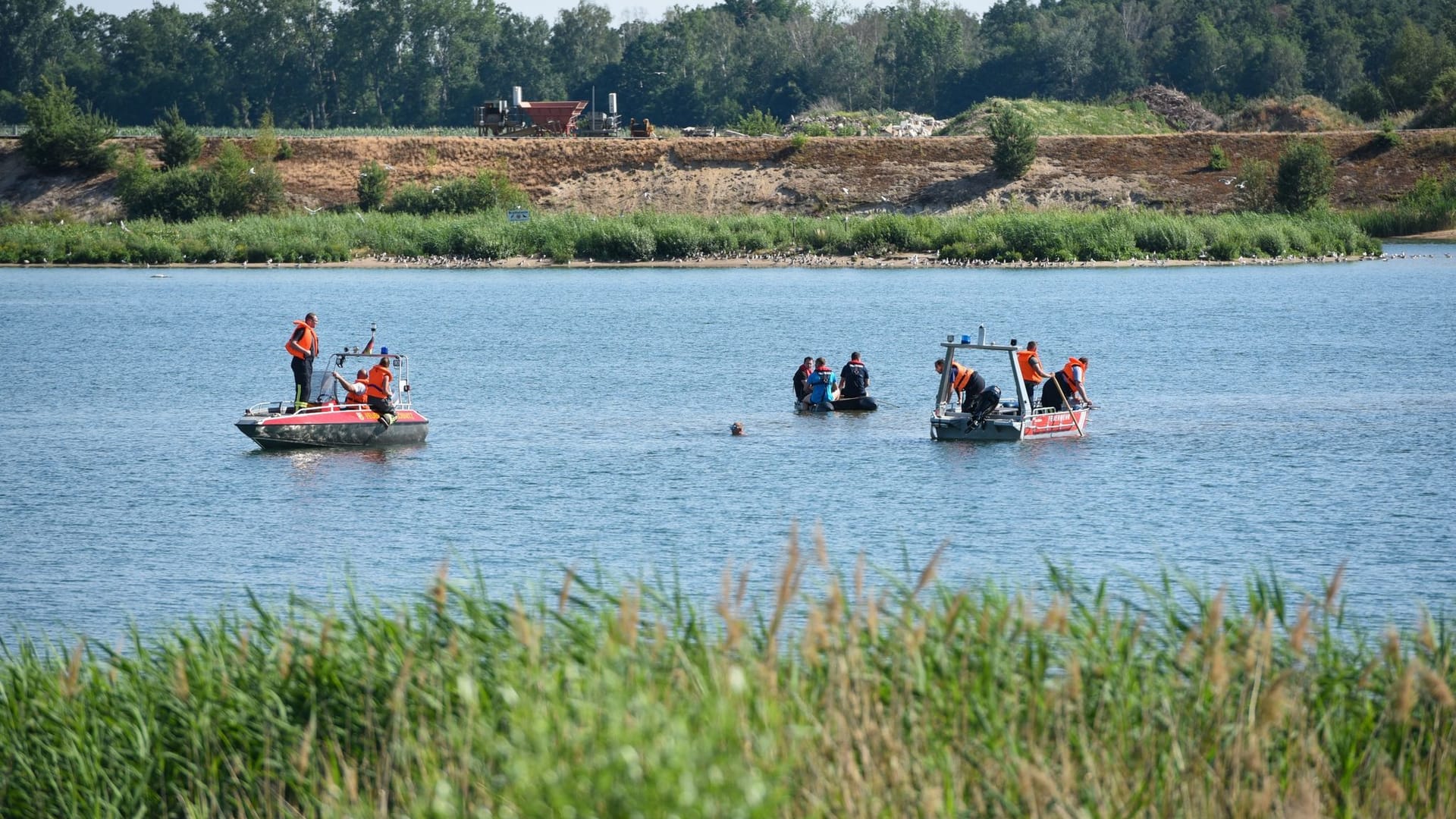 Badeunfall im Mühlfeldsee