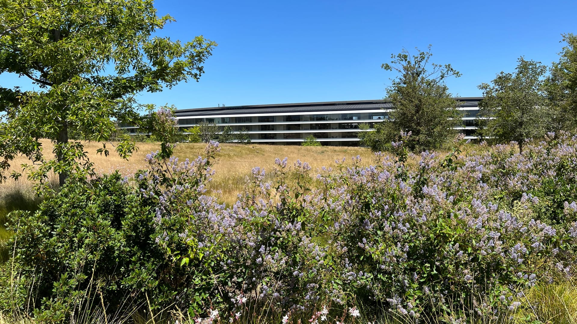 Der Blick vom Steve Jobs Theatre (SJT) auf Apples Hauptquartier. Näher kamen die allermeisten Journalisten dem eindrucksvollen Gebäude bei zurückliegenden Apple-Events nicht.