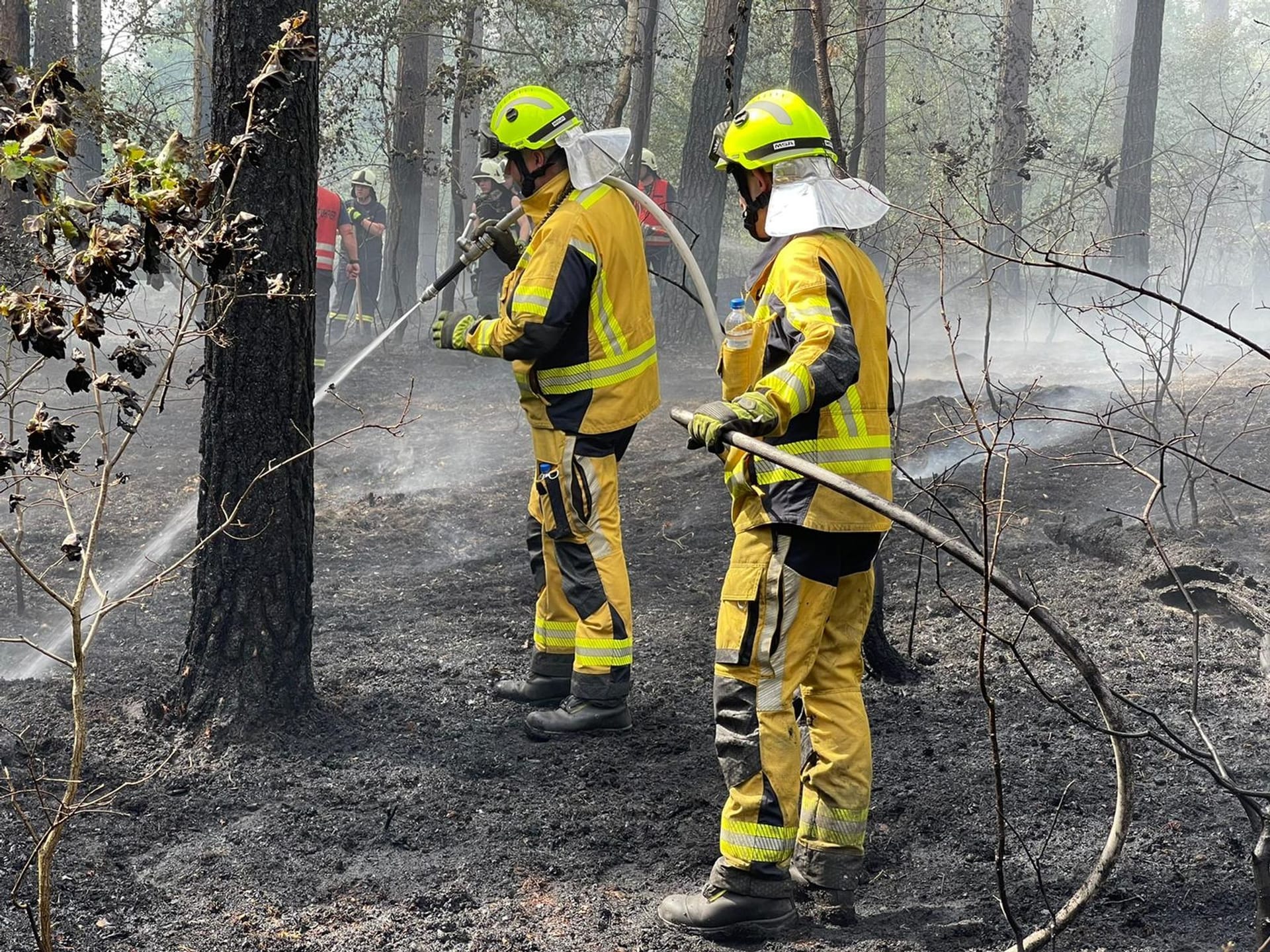 Waldbrand bei Rheinsberg