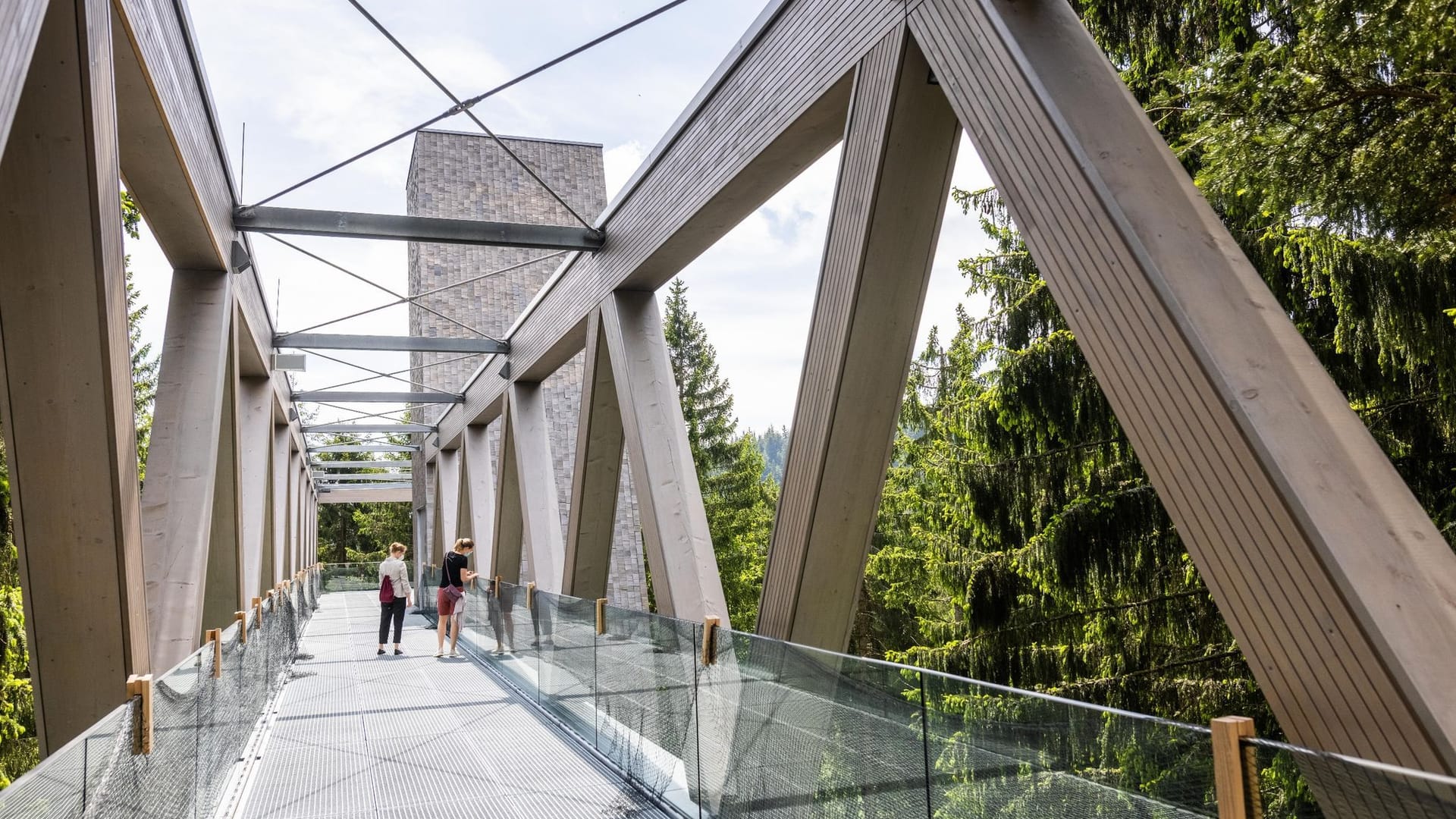 Besucherzentrum im Nationalpark Schwarzwald Besucherzentrum im Nationalpark Schwarzwald