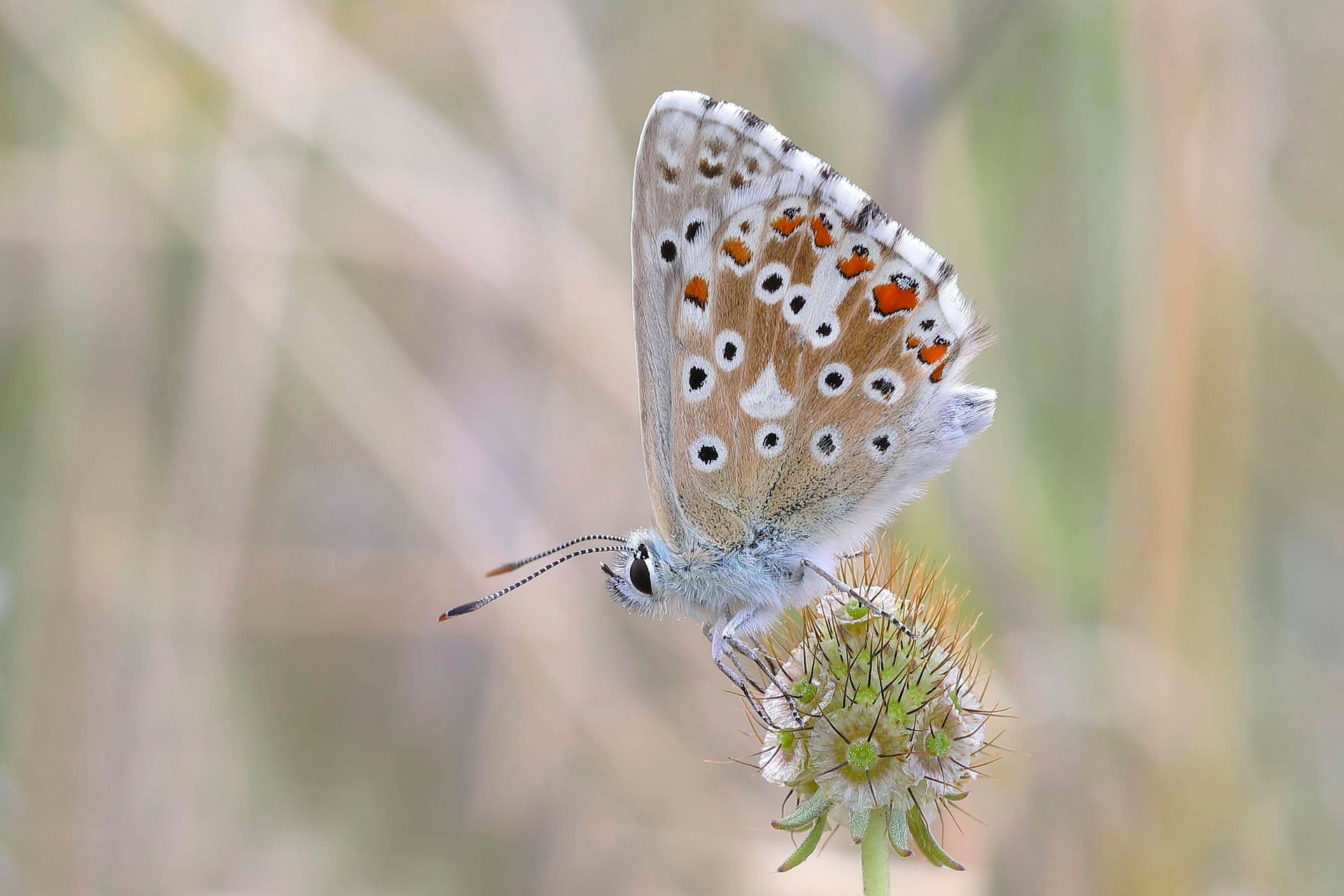 imago images 137381379