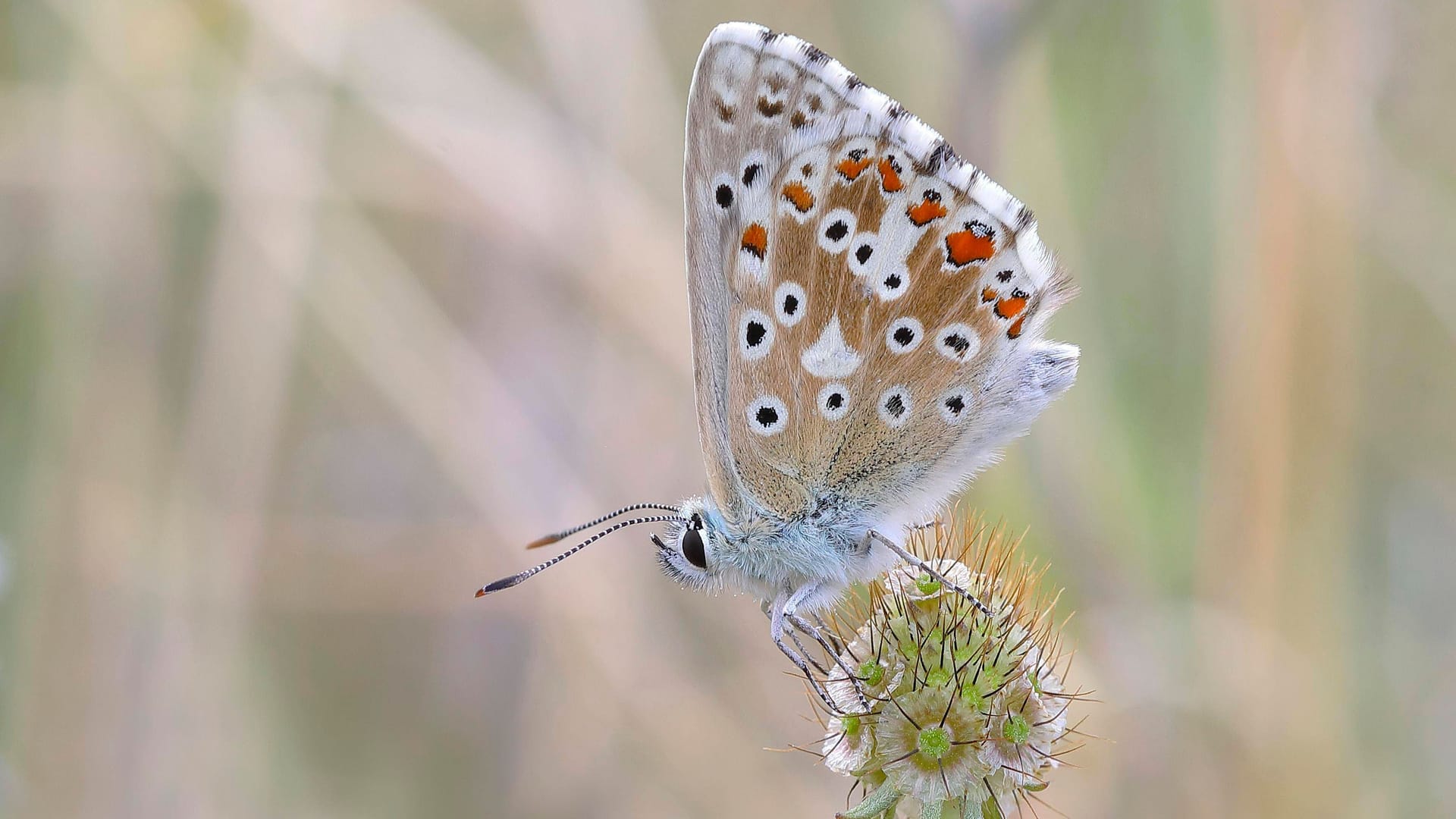 imago images 137381379