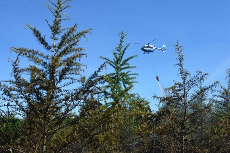 Feuerwehren kämpfen im Harz gegen einen neuen Waldbrand. Auch ein Hubschrauber ist im Einsatz.