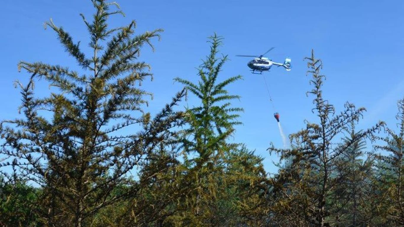 Feuerwehren kämpfen im Harz gegen einen neuen Waldbrand. Auch ein Hubschrauber ist im Einsatz.