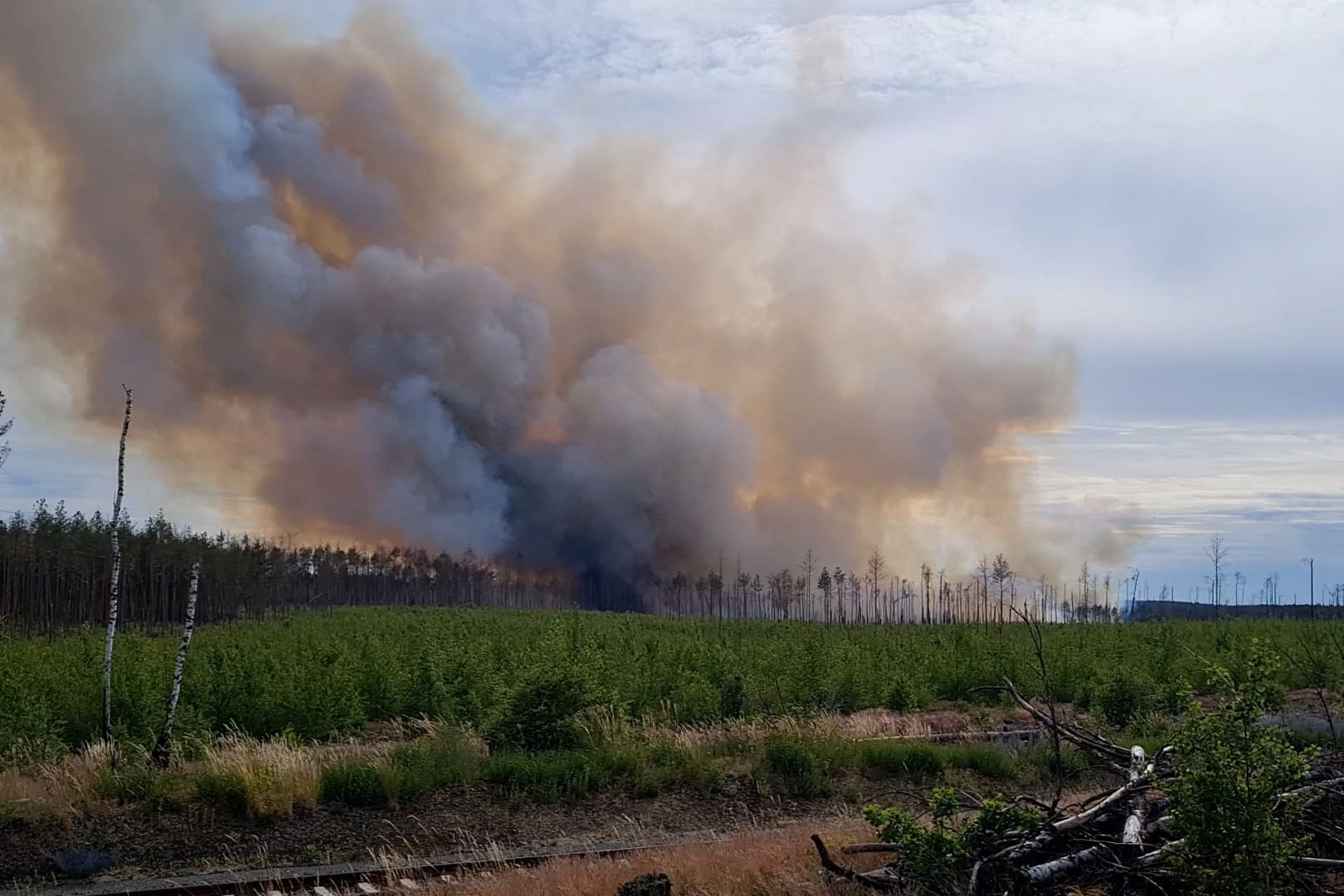 Waldbrand bei Treuenbritzen: Die Feuerwehr ist mit einem Großaufgebot vor Ort.