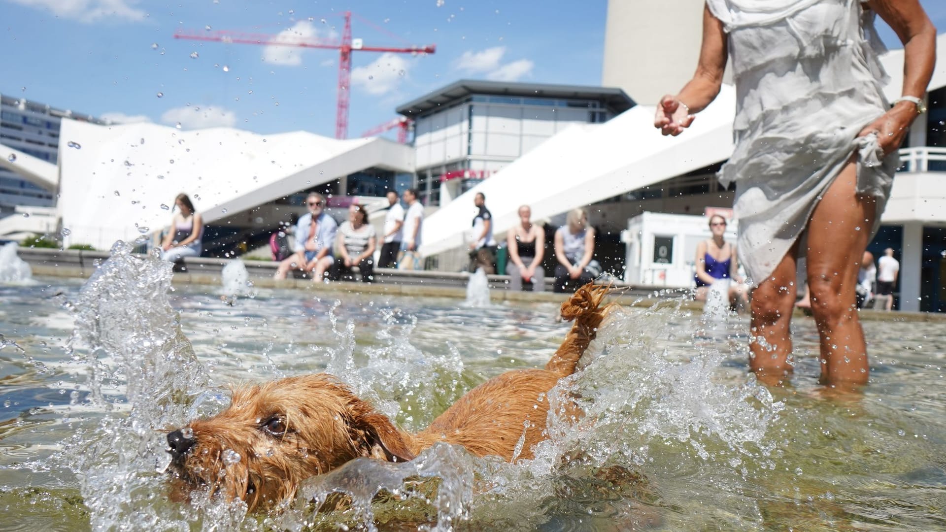 Sommerlich in Berlin