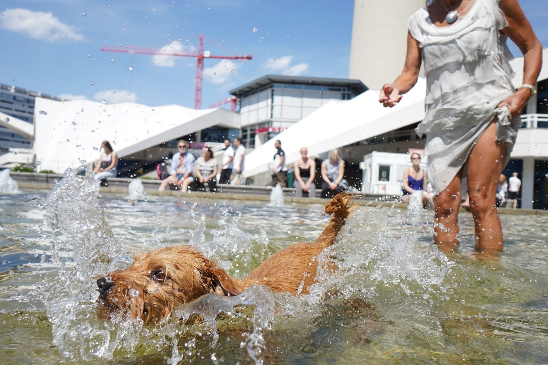 Sommerlich in Berlin